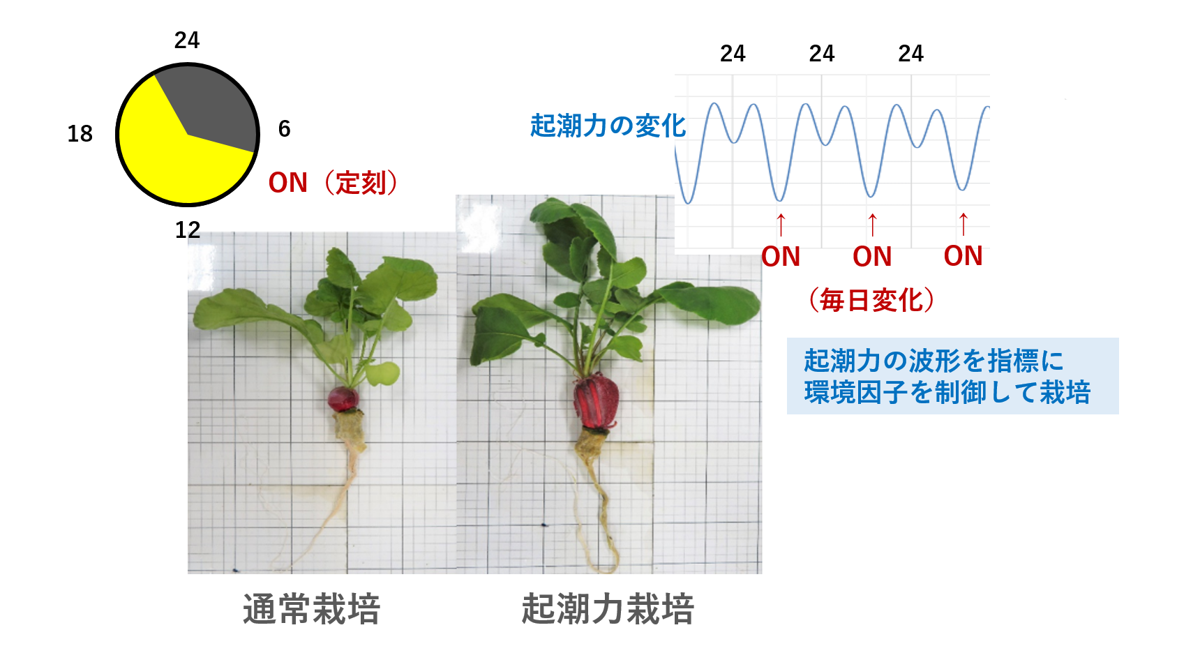 起潮力を利用した農業技術の開発〈バイオ〉