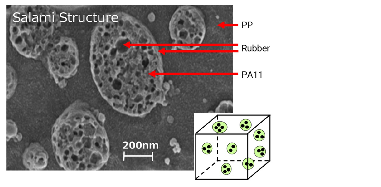 Nanostructure of High Impact Polymer Resin (Salami Structure)