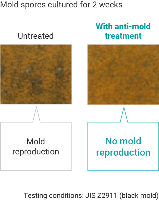 Anti-mold performance