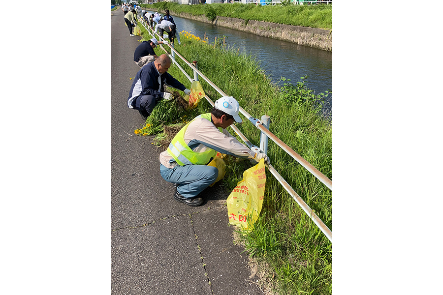 写真：駆除活動中