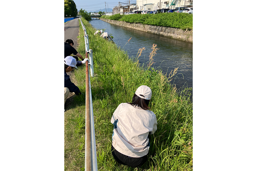 写真：駆除活動後