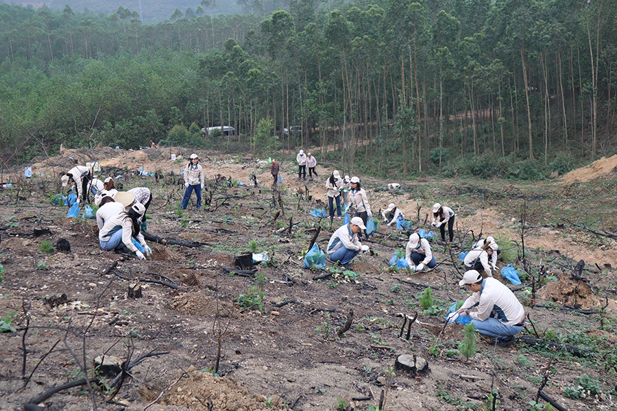 写真：トヨタ紡織ハノイの植樹活動