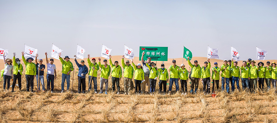写真：豊田紡織（中国）グループ 2021年度 森づくり活動(3)