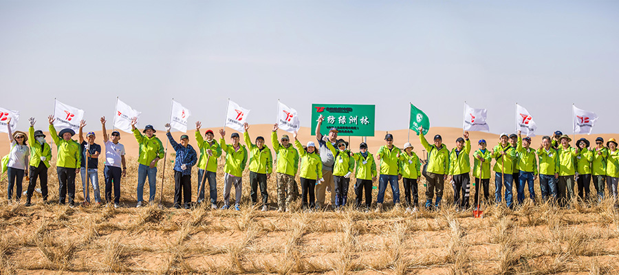 写真:豊田紡織(中国)グループ 2021年度 森づくり活動(3)