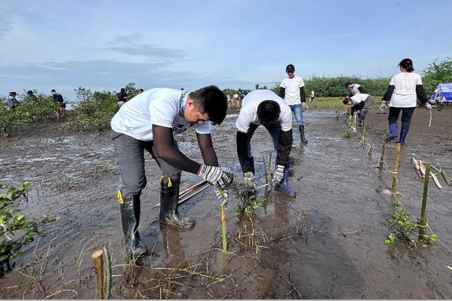 写真：持続可能な環境を維持するための植樹の重要性を実感しました