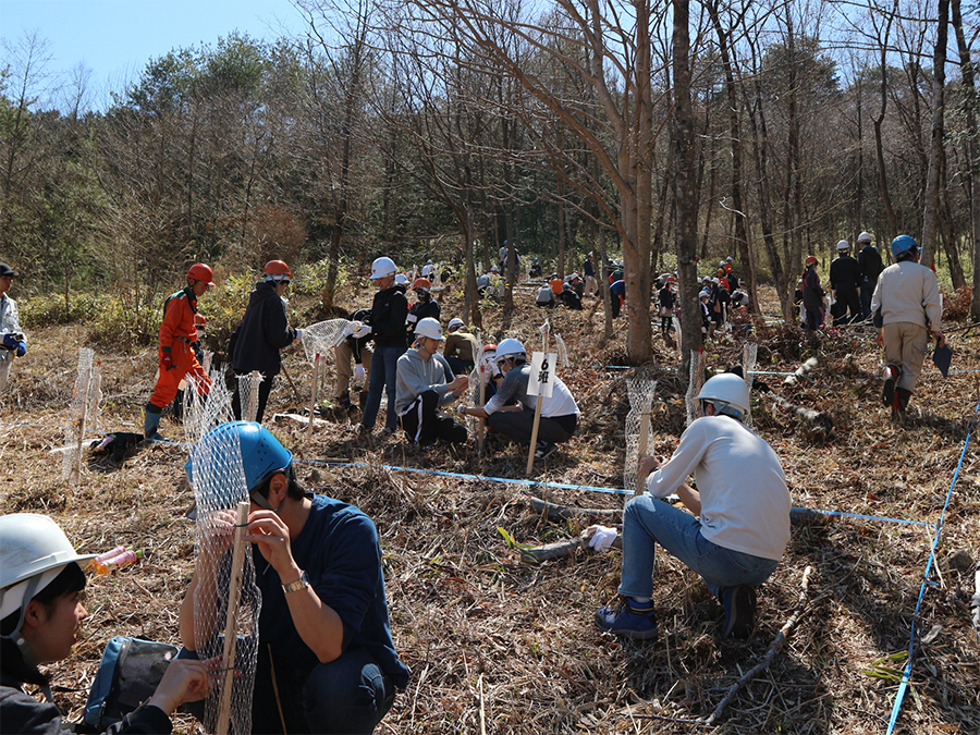 Photo:New company members planting konara oak trees (Quercus serrata)
