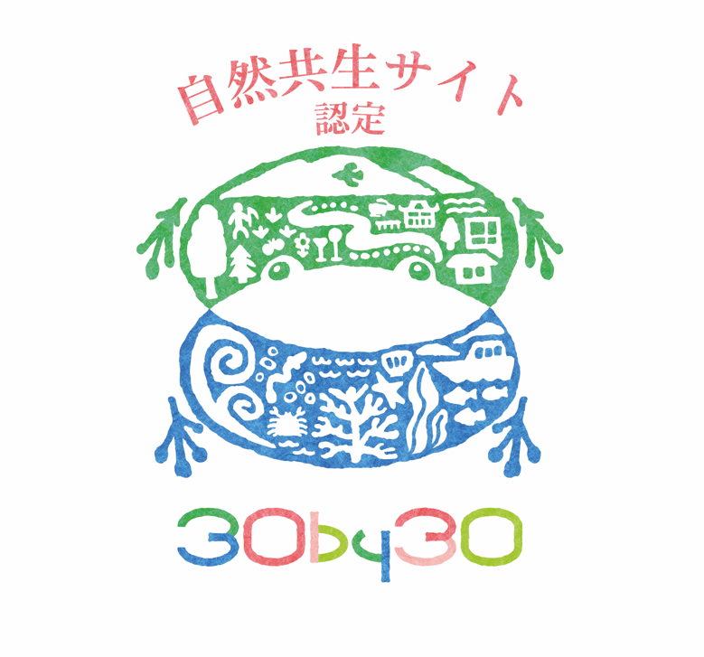 241022_5.PNG
