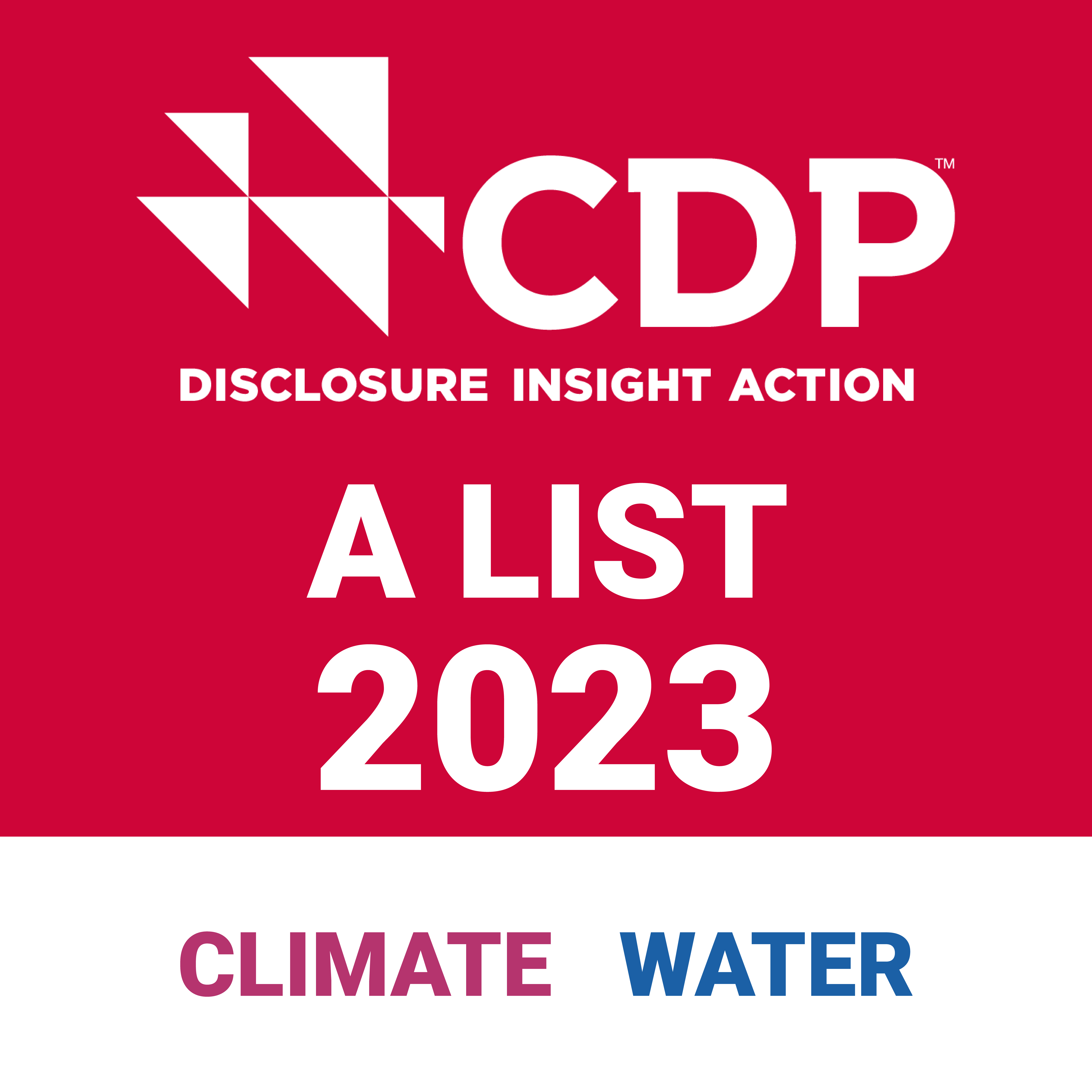 cdp2023.png