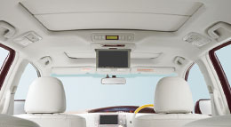 Molded Headliner